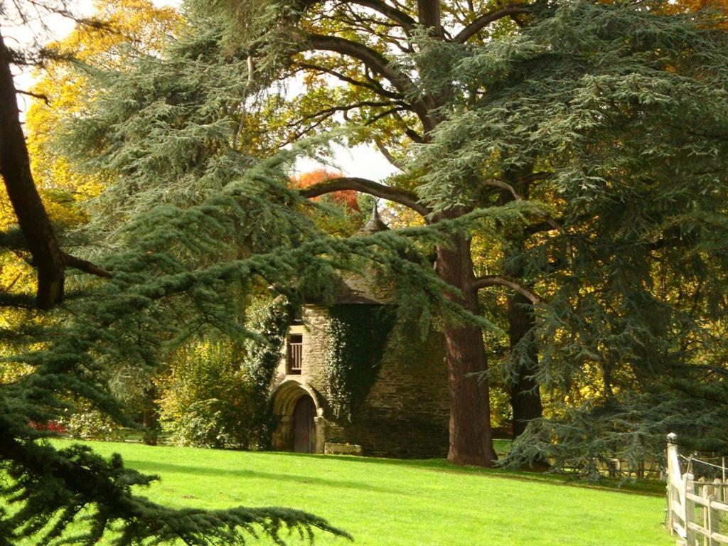 Hotel Manoir de Trégaray Sixt-sur-Aff Exterior foto